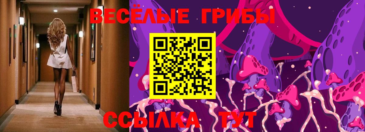 Анапа  Псилоцибиновые грибы MAGIC MUSHROOMS  Вход с VPN 